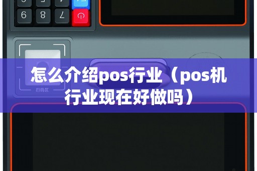 怎么介绍pos行业（pos机行业现在好做吗）